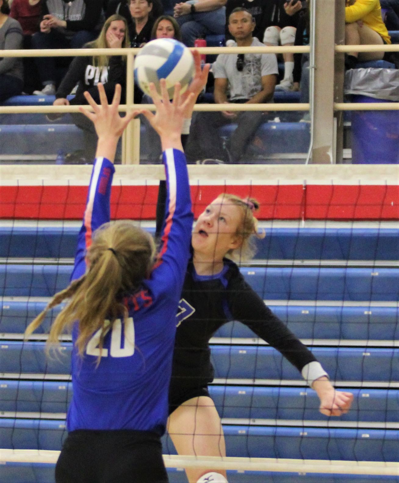 Douglas Tournament 4.jpg